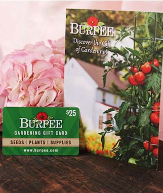 Burpee garden gift cards